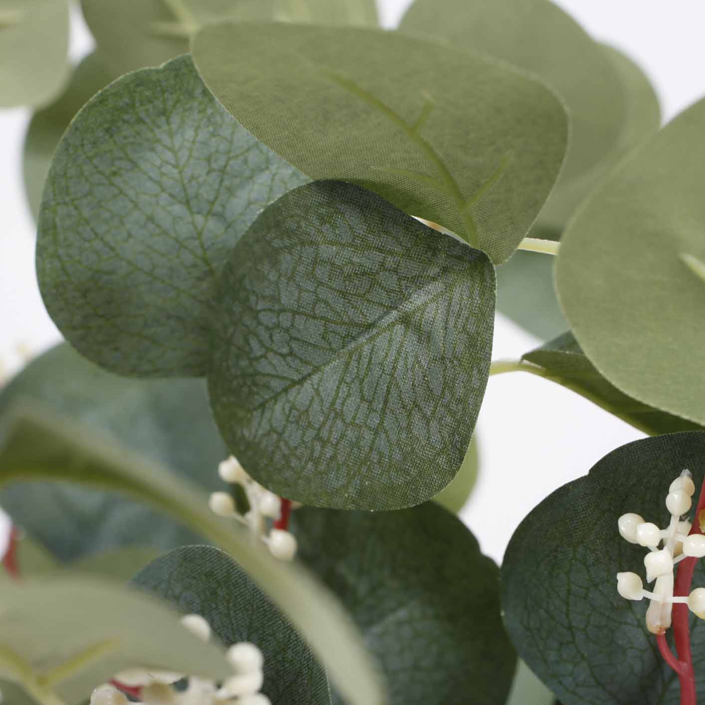 Silver Dollar Eucalyptus Branch - Large Leaf 9 Head Spray (45cm) - Image 3