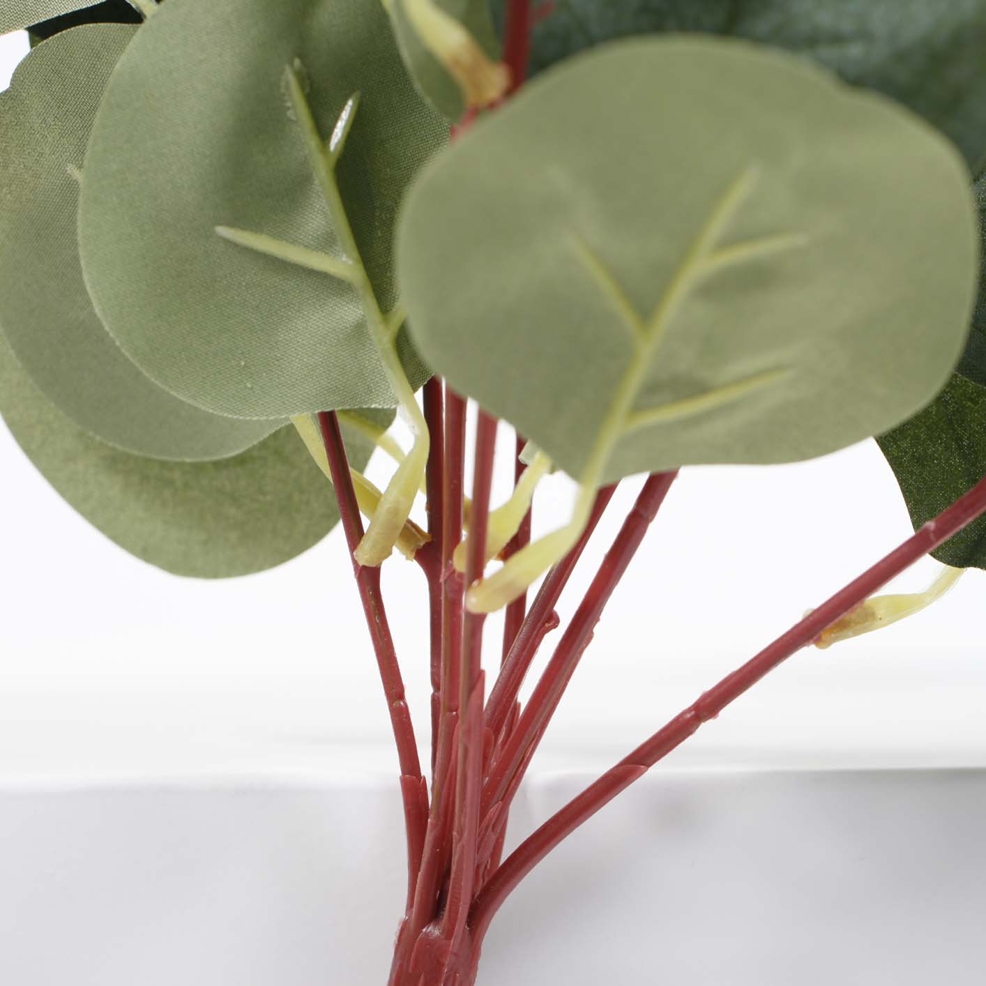 Silver Dollar Eucalyptus Branch - Large Leaf 9 Head Spray (45cm) - Image 4