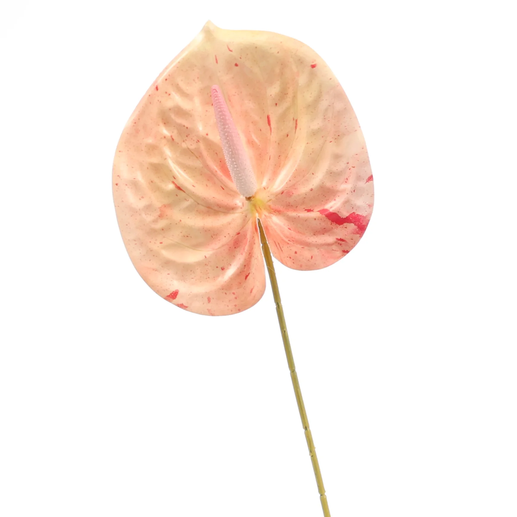 Wholesale Wedding Supplies