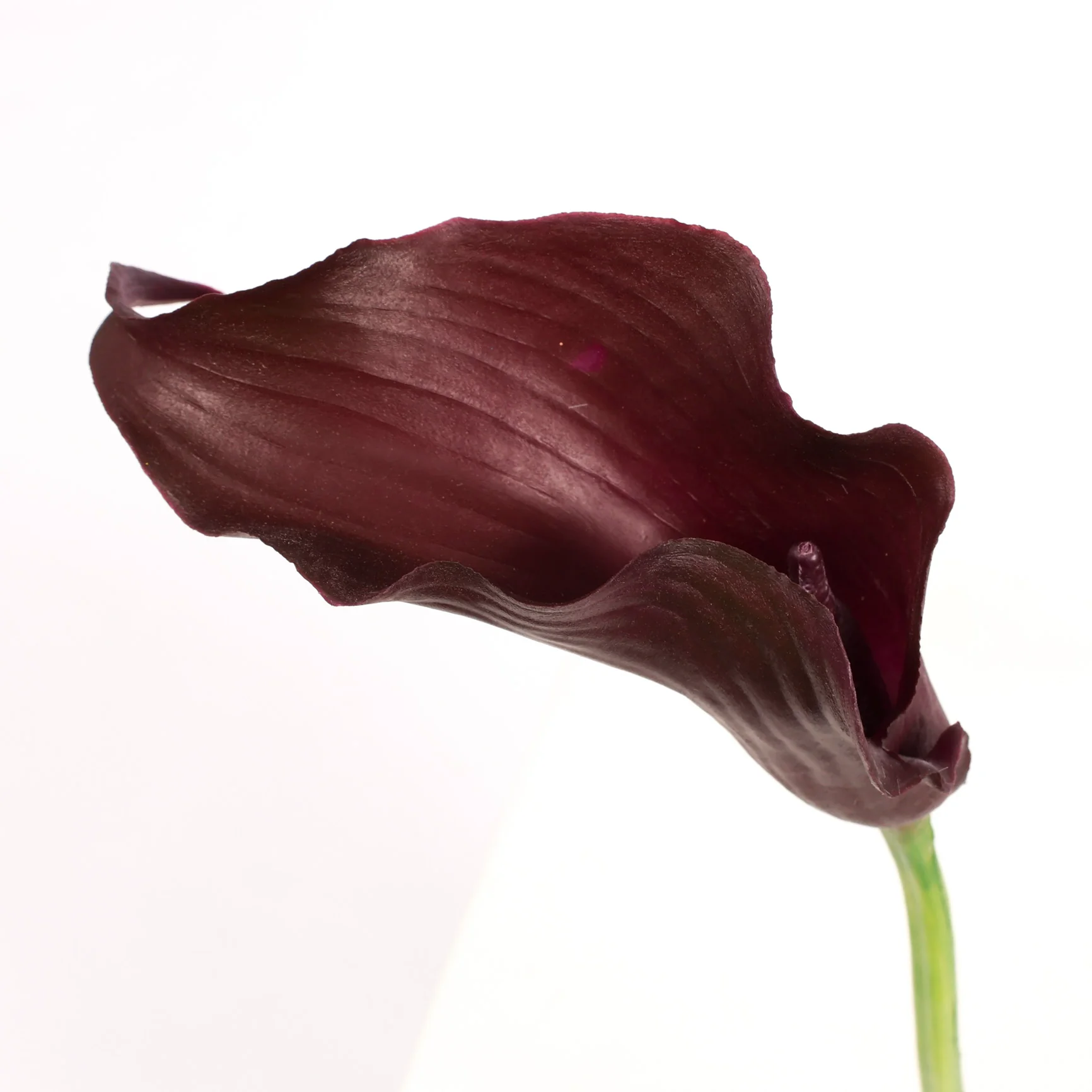Artificial Calla Lily - Dark Purple - Image 6