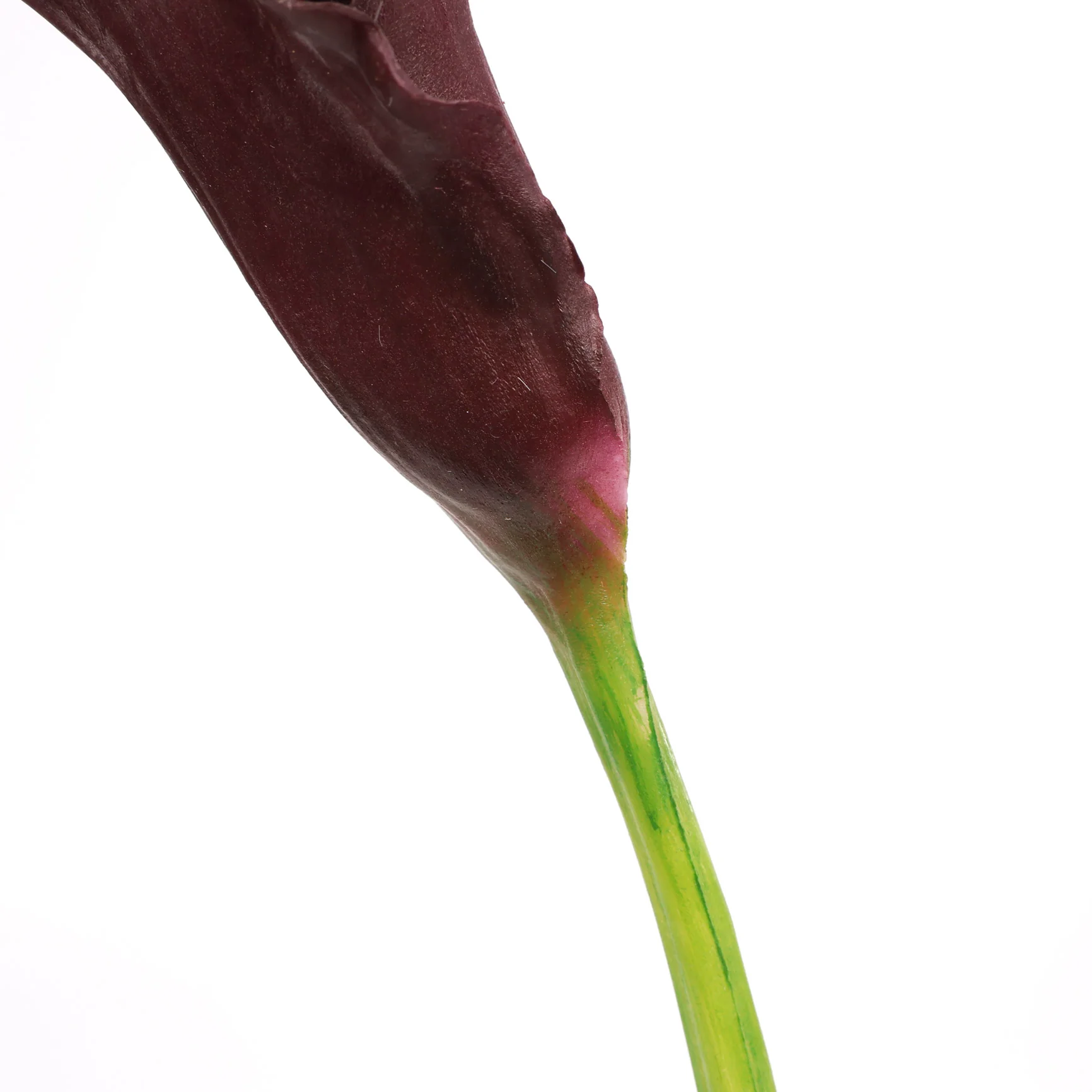 Artificial Calla Lily - Dark Purple - Image 7