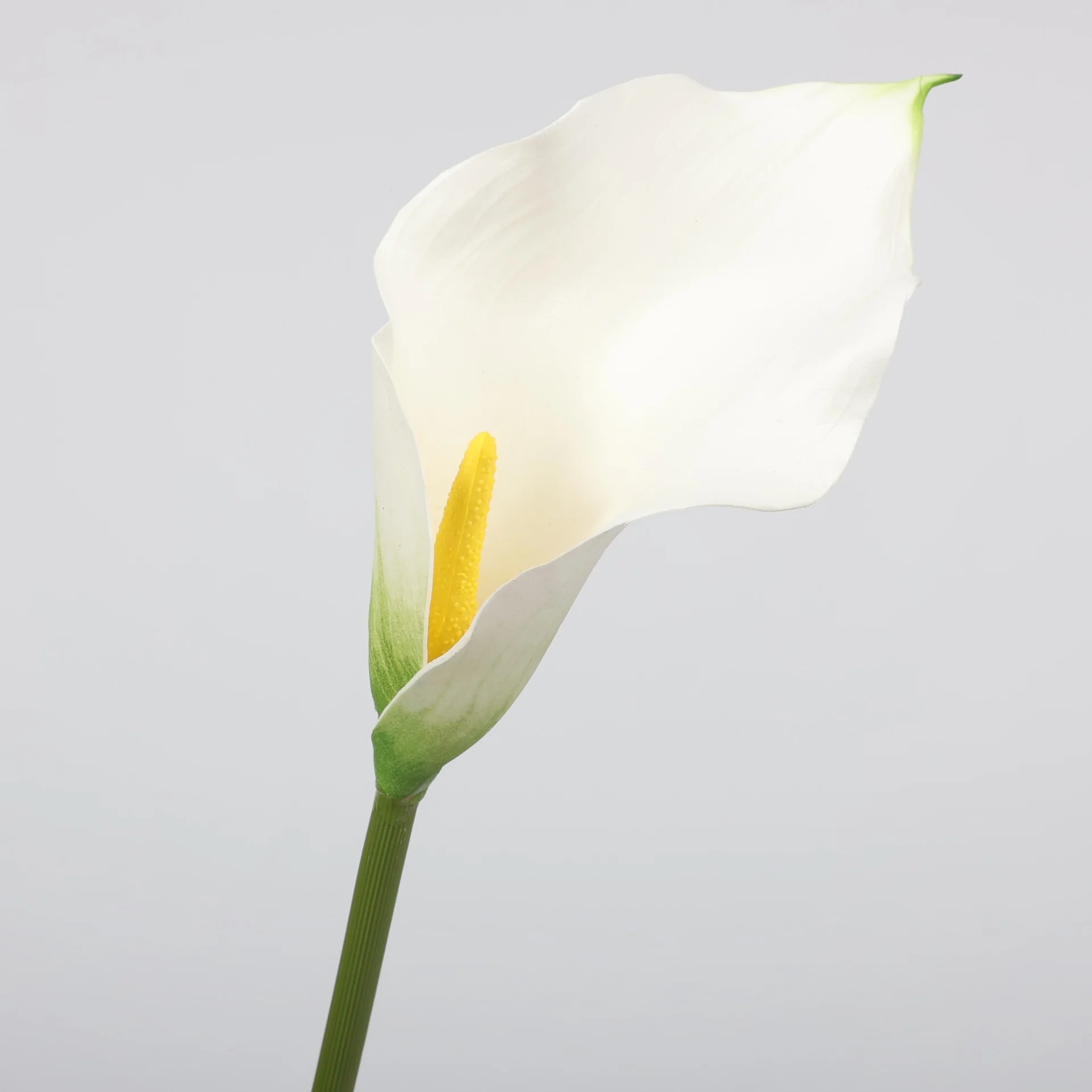 Artificial Calla Lily - White - Image 3