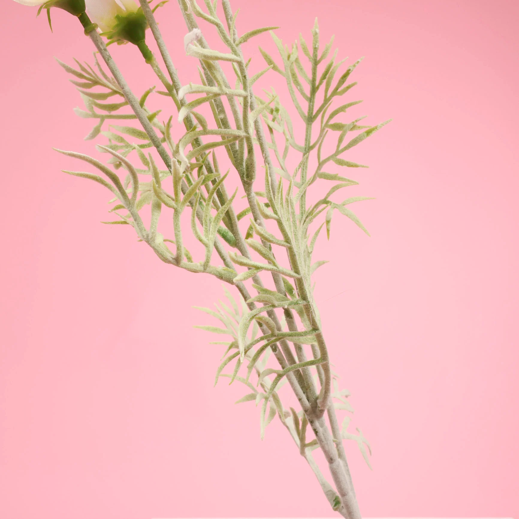 Artificial Cosmos Spray - White - Image 4