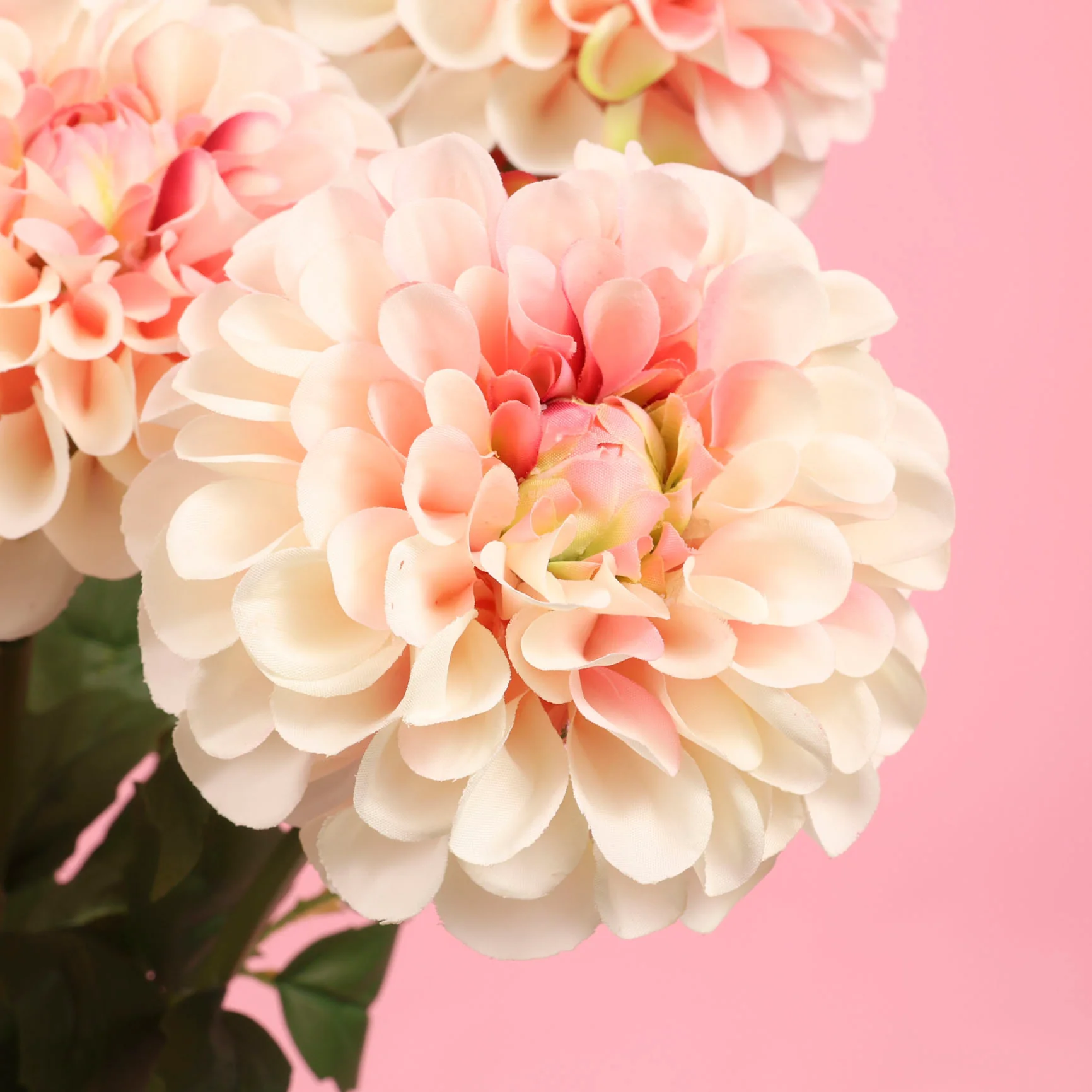 Artificial Dahlia Stem - Pink & Peach - Image 6
