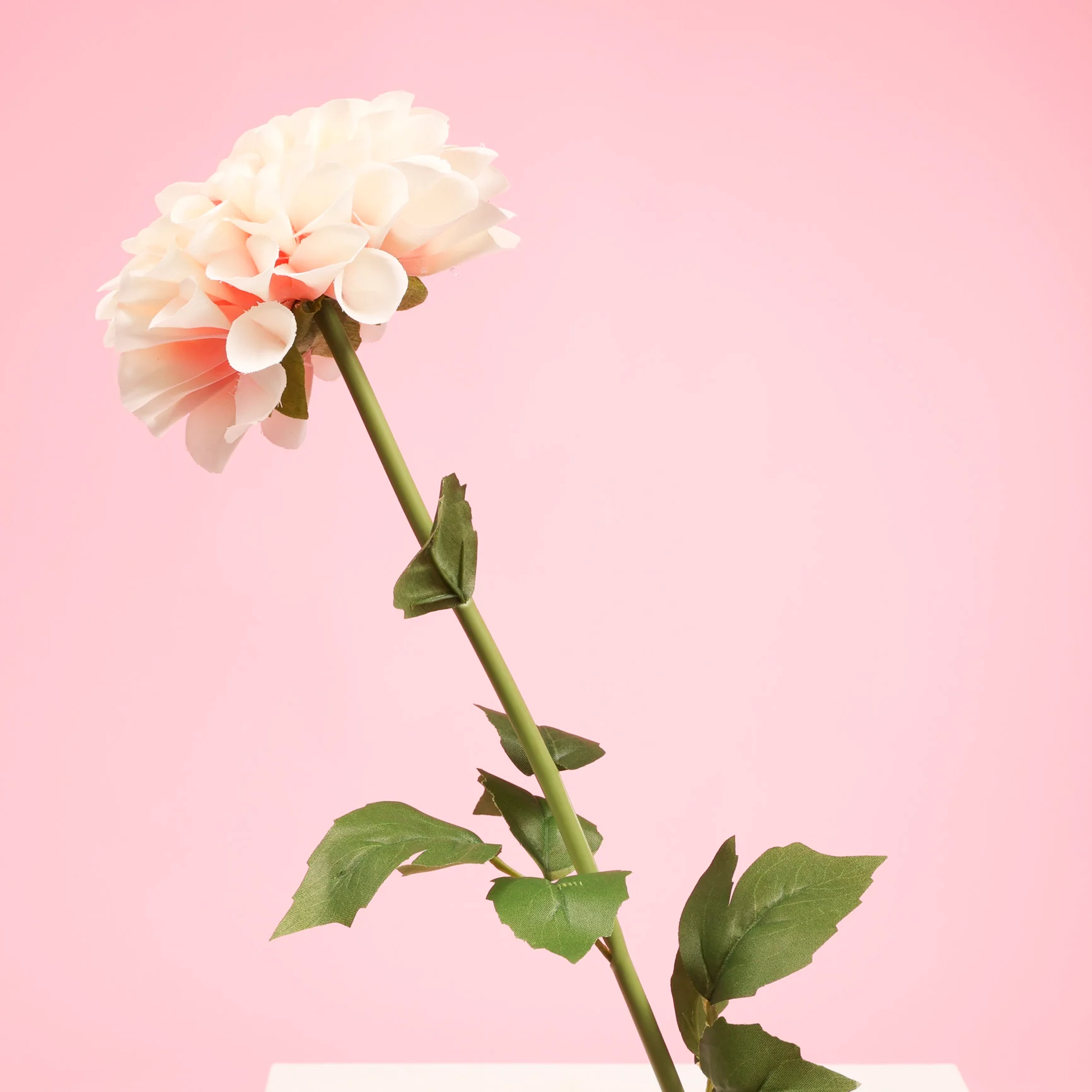 Artificial Dahlia Stem - Pink & Peach - Image 8