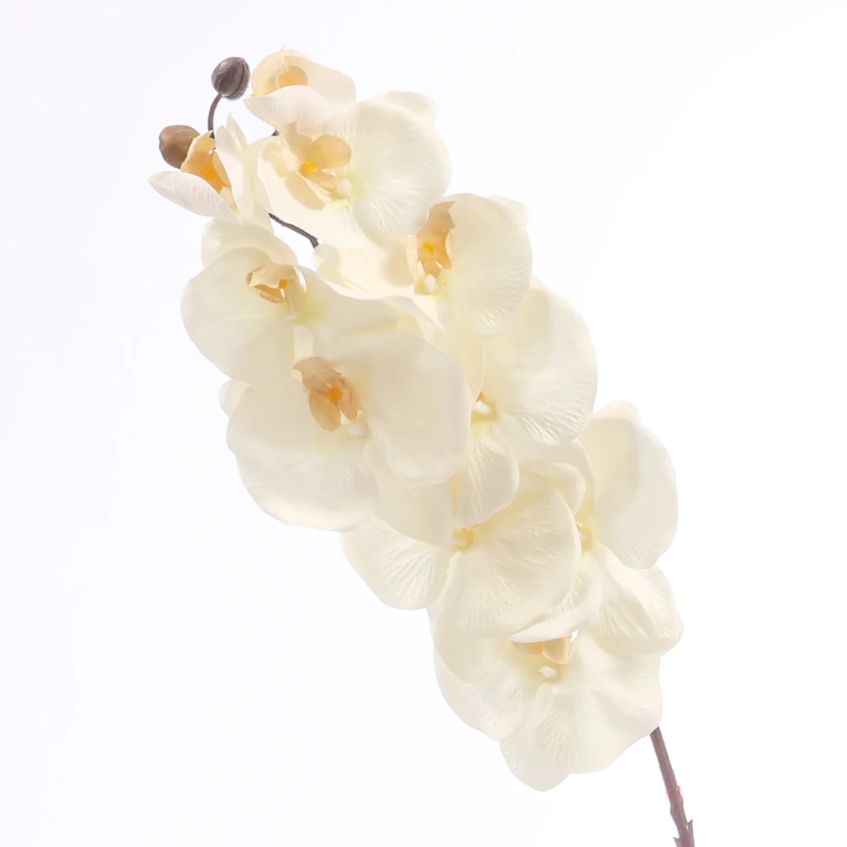 Artificial Orchid Stem - White / Ivory