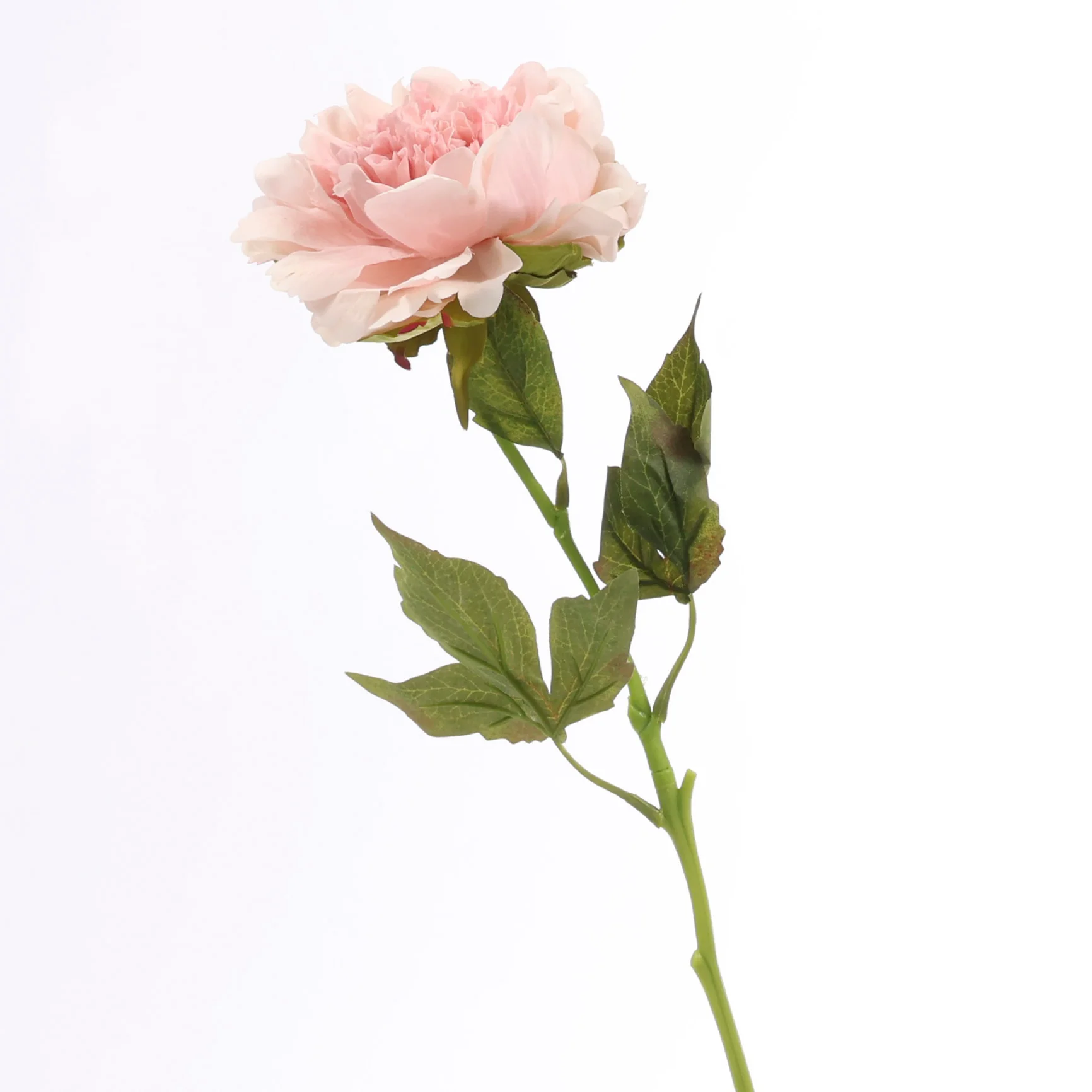 Artificial Real Touch Peony Rose - Large Stem - Blush - Image 3