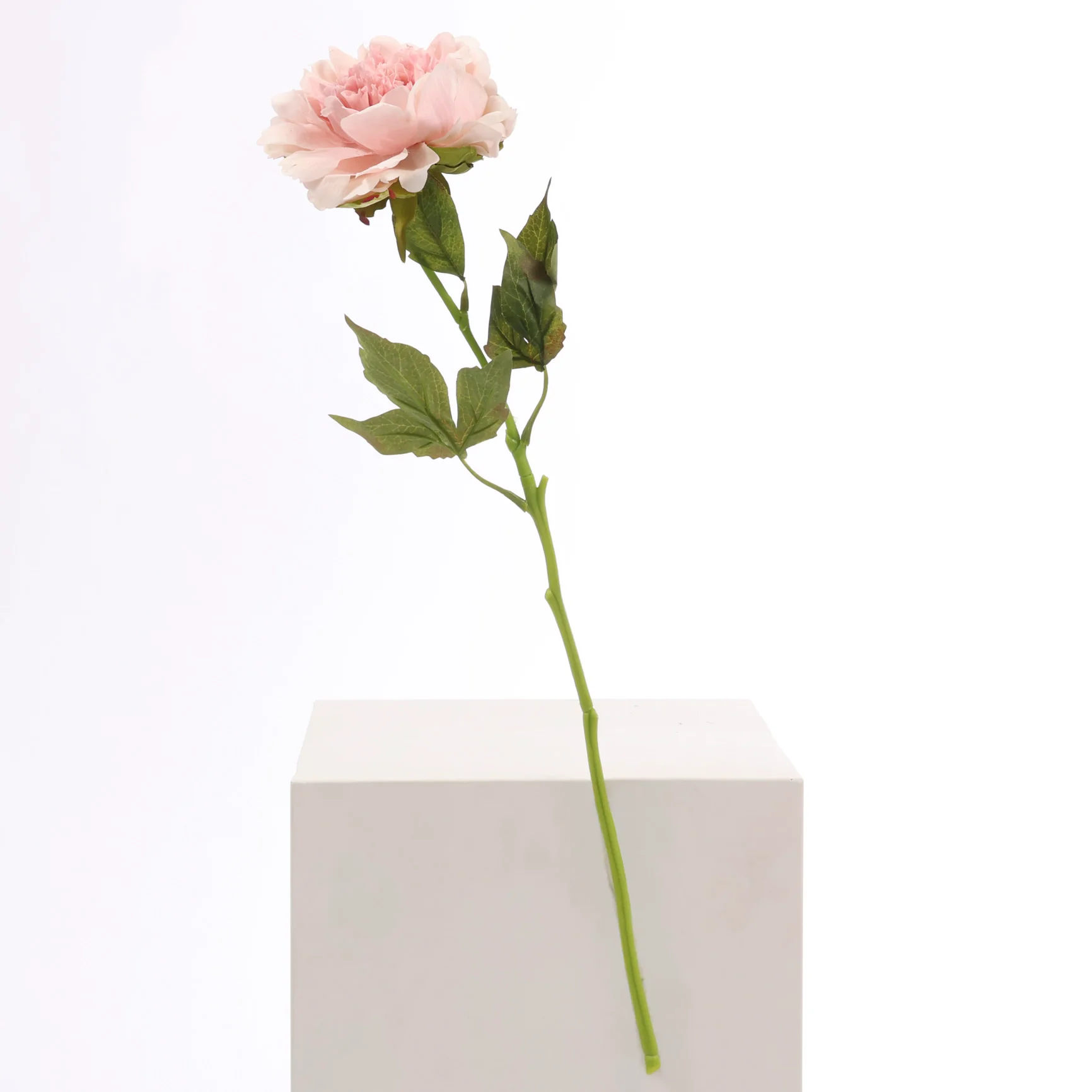 Artificial Real Touch Peony Rose - Large Stem - Blush - Image 4