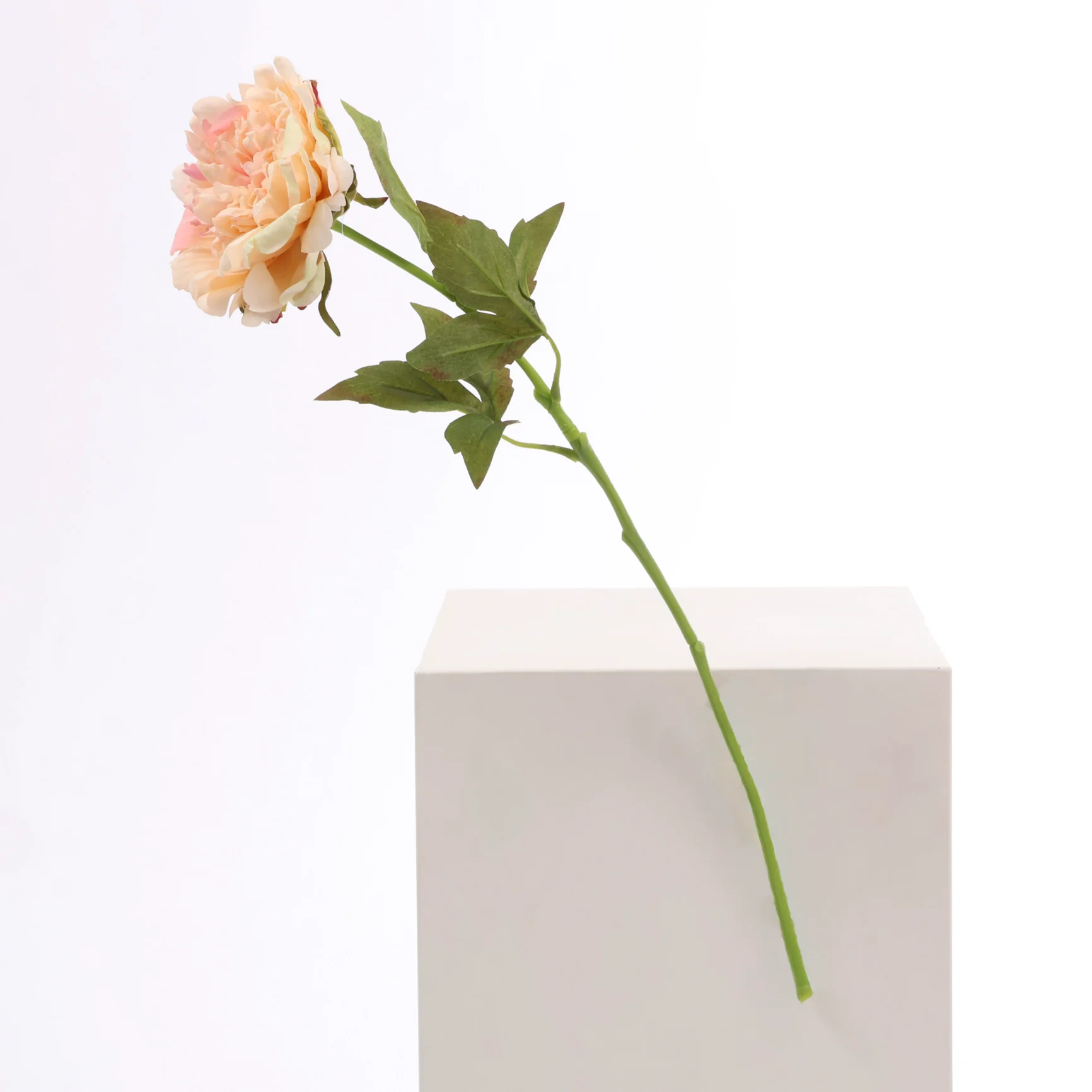 Artificial Real Touch Peony Rose - Large Stem - Peach - Image 3