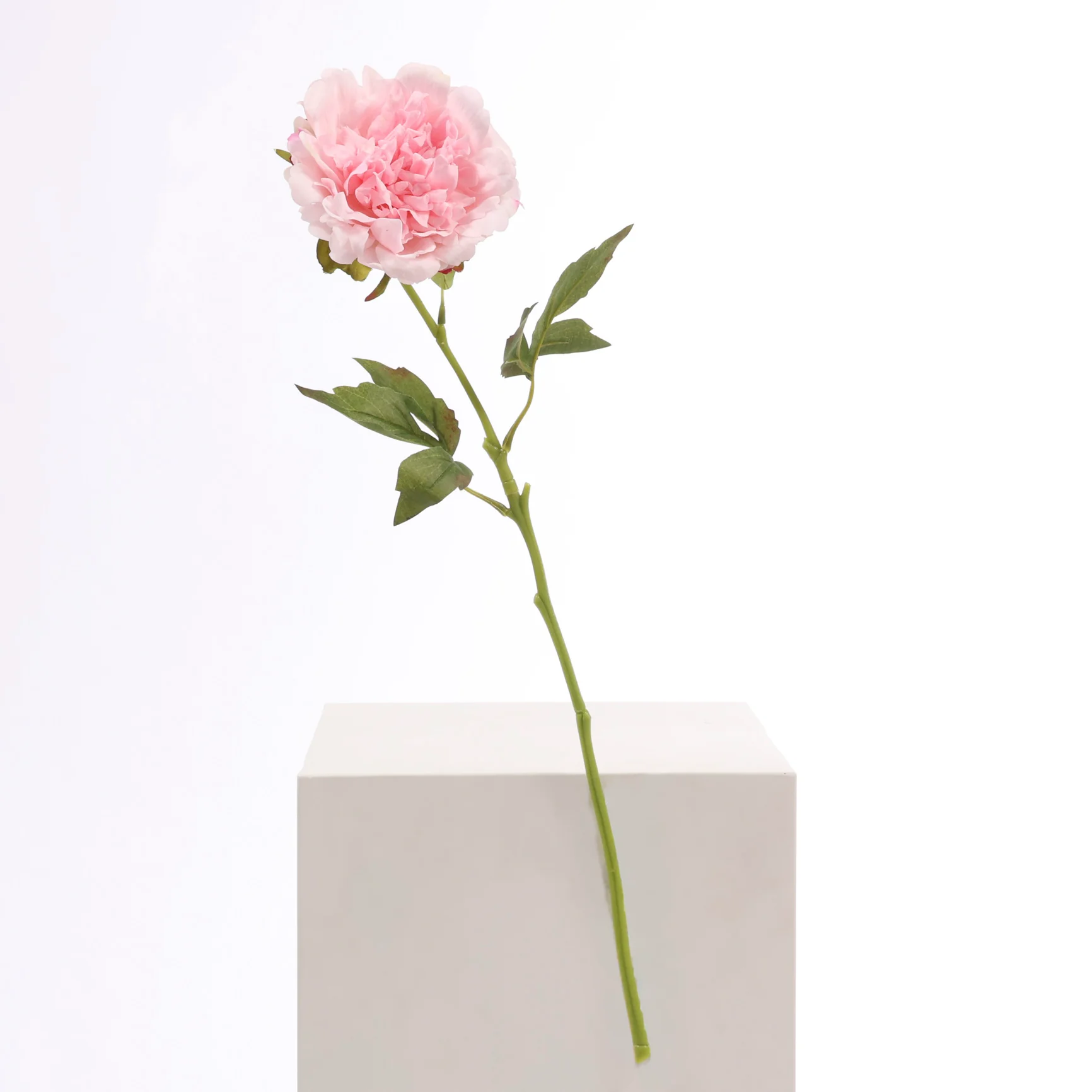 Artificial Real Touch Peony Rose - Large Stem - Light Pink - Image 3