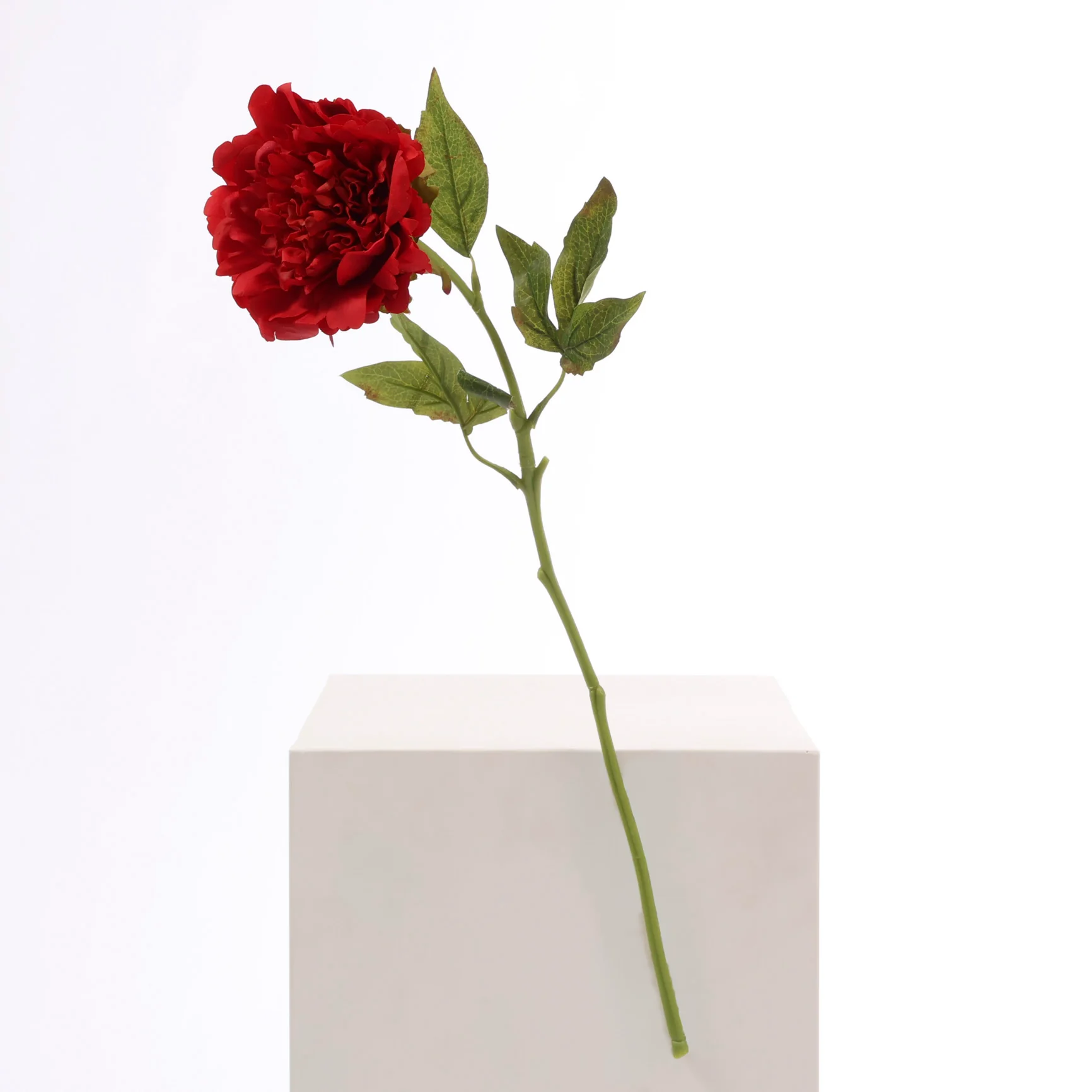 Artificial Real Touch Peony Rose - Large Stem - Red - Image 3