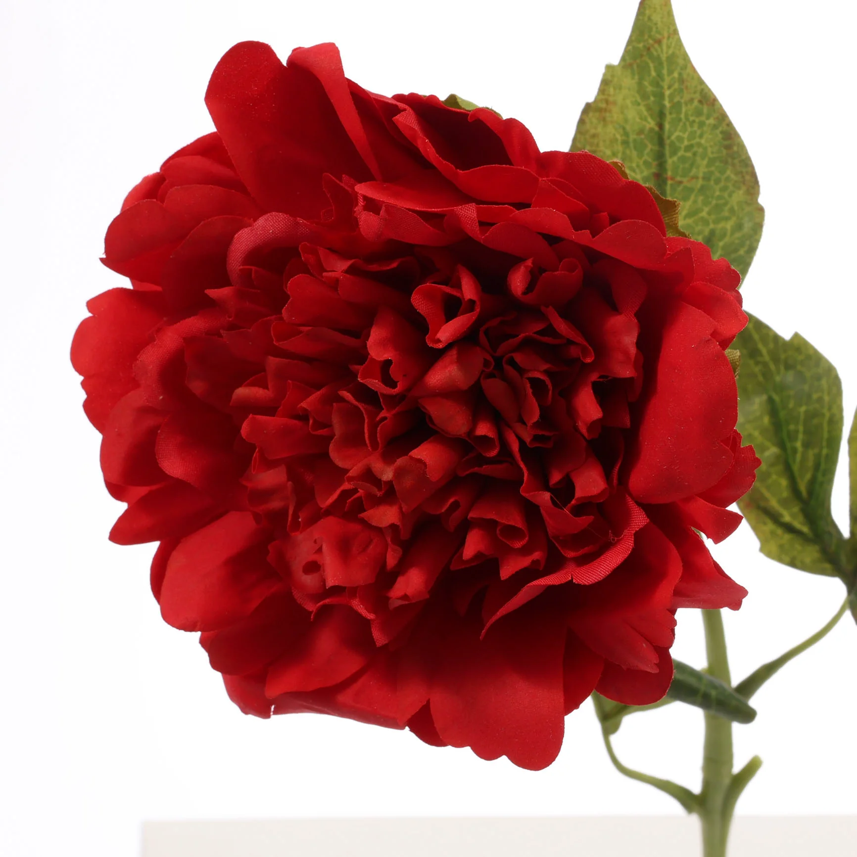 Artificial Real Touch Peony Rose - Large Stem - Red - Image 4