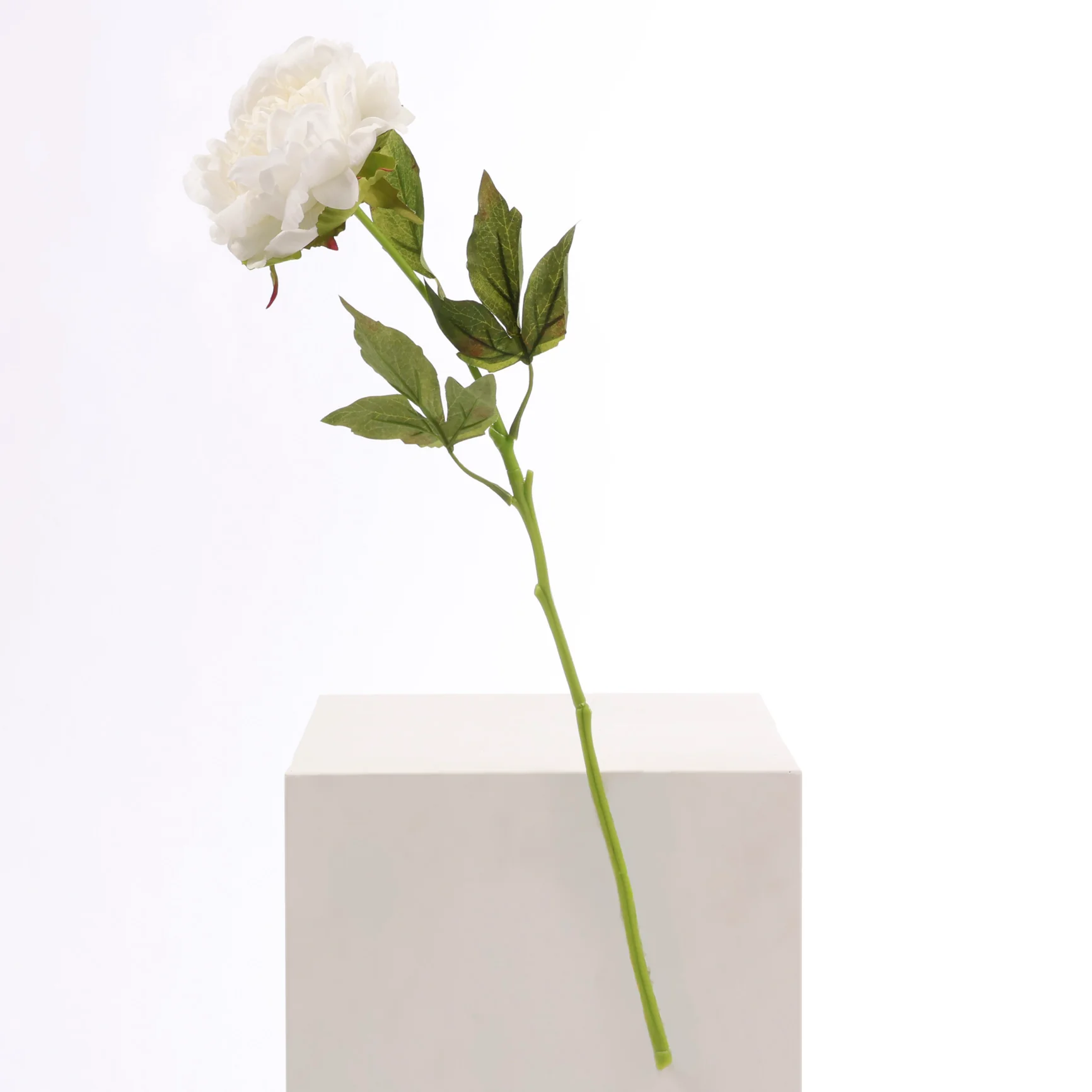 Artificial Real Touch Peony Rose - Large Stem - White - Image 3