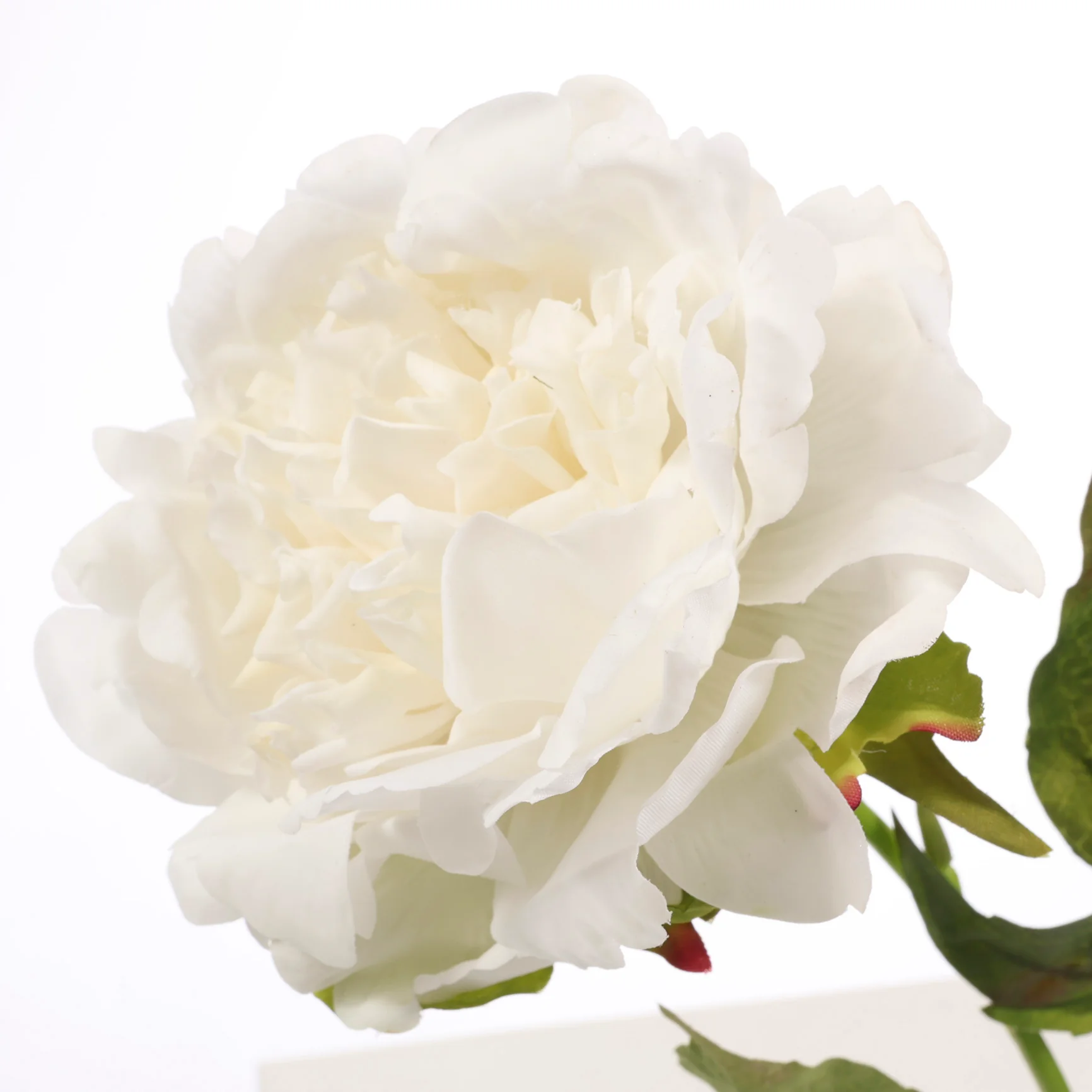 Artificial Real Touch Peony Rose - Large Stem - White - Image 4