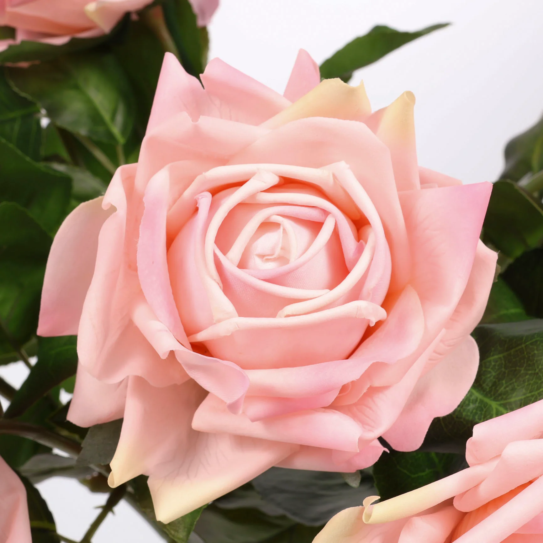 Artificial Real Touch Rose Stem - Blush - Image 3