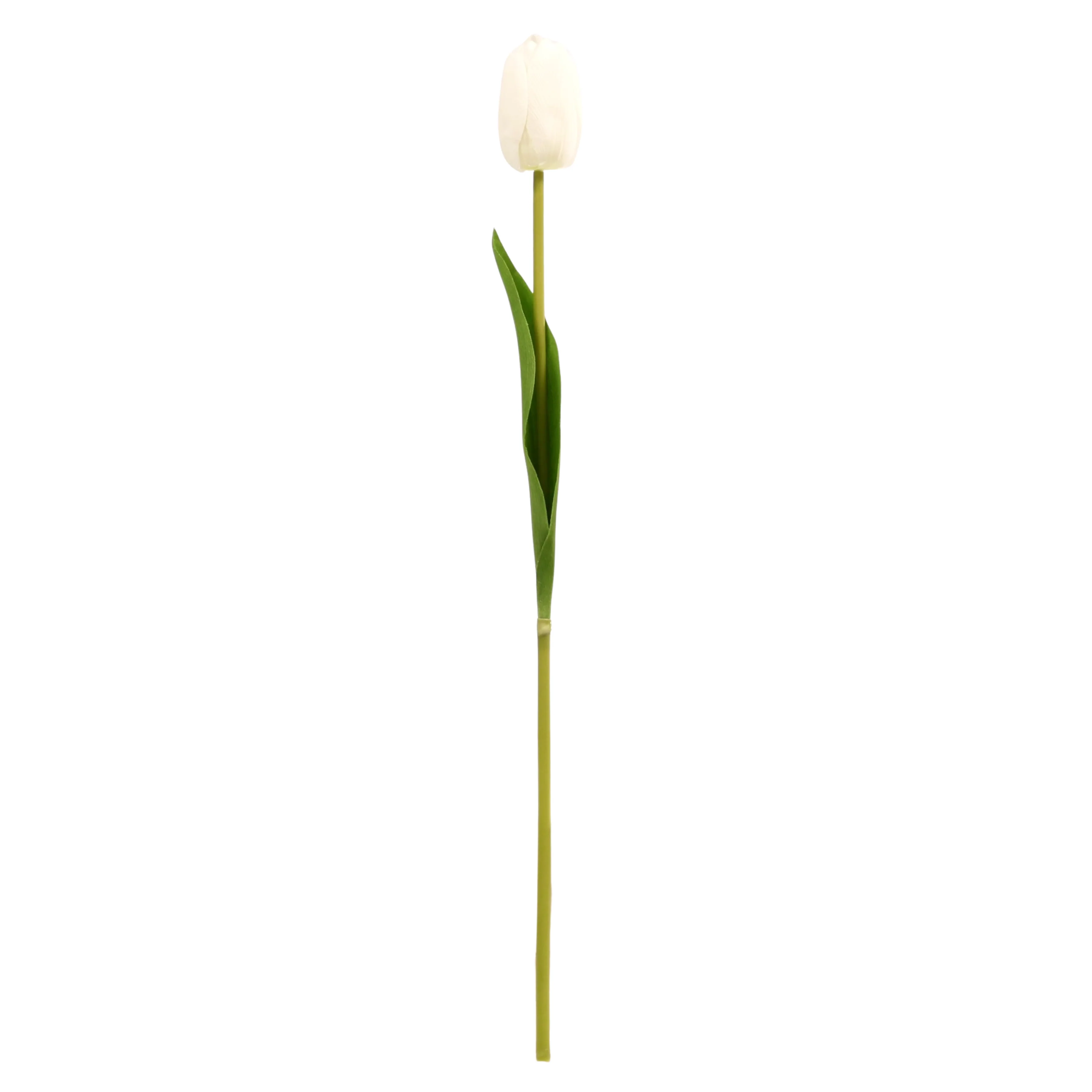 Artificial Tulip Stem- White - Image 4