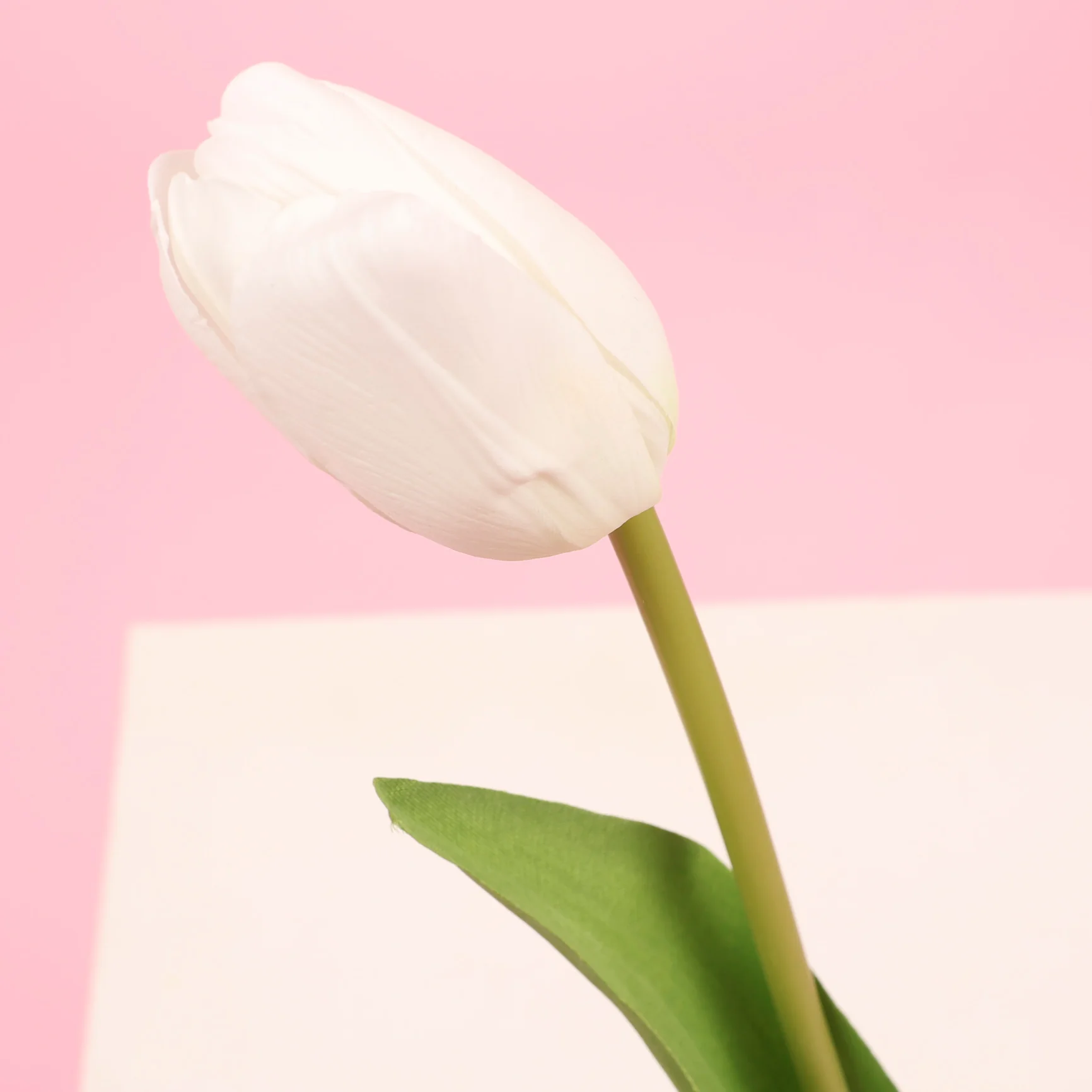 Artificial Tulip Stem- White - Image 6