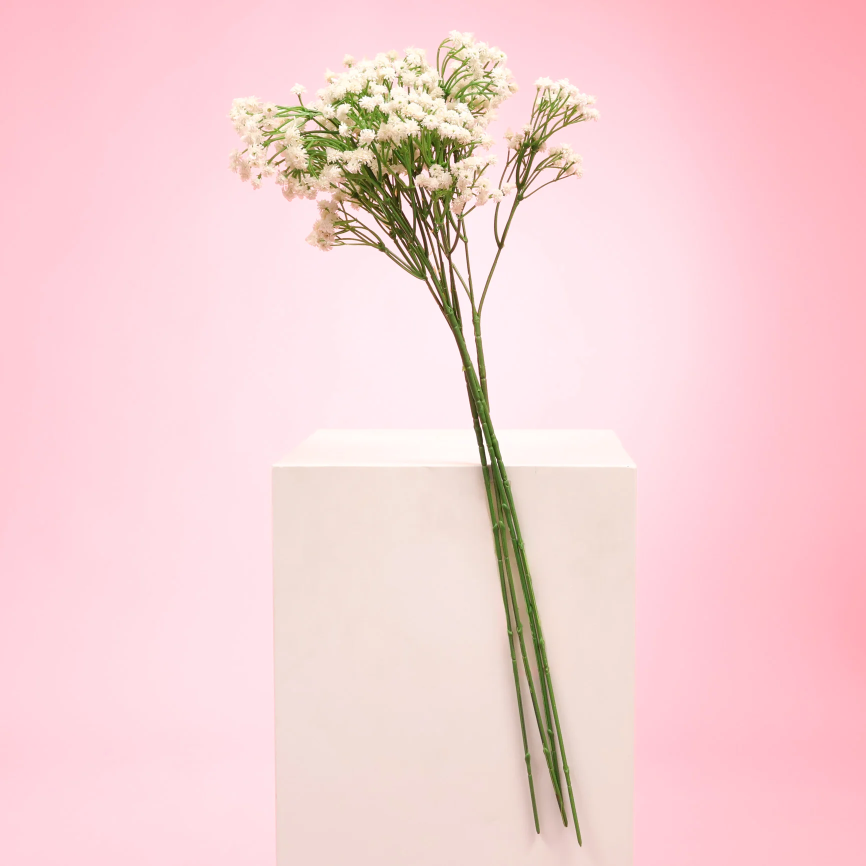 Baby's Breath Bouquet Premium Stems - White (60cm) - Image 3