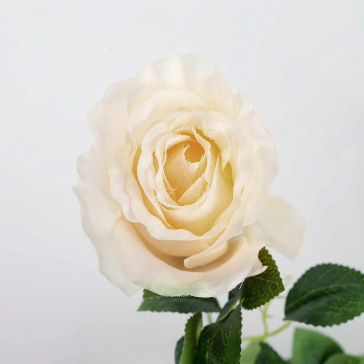 CLEARANCE Rose Artificial Flower Vine - 9cm Head - Cream (1.6m) - Image 6