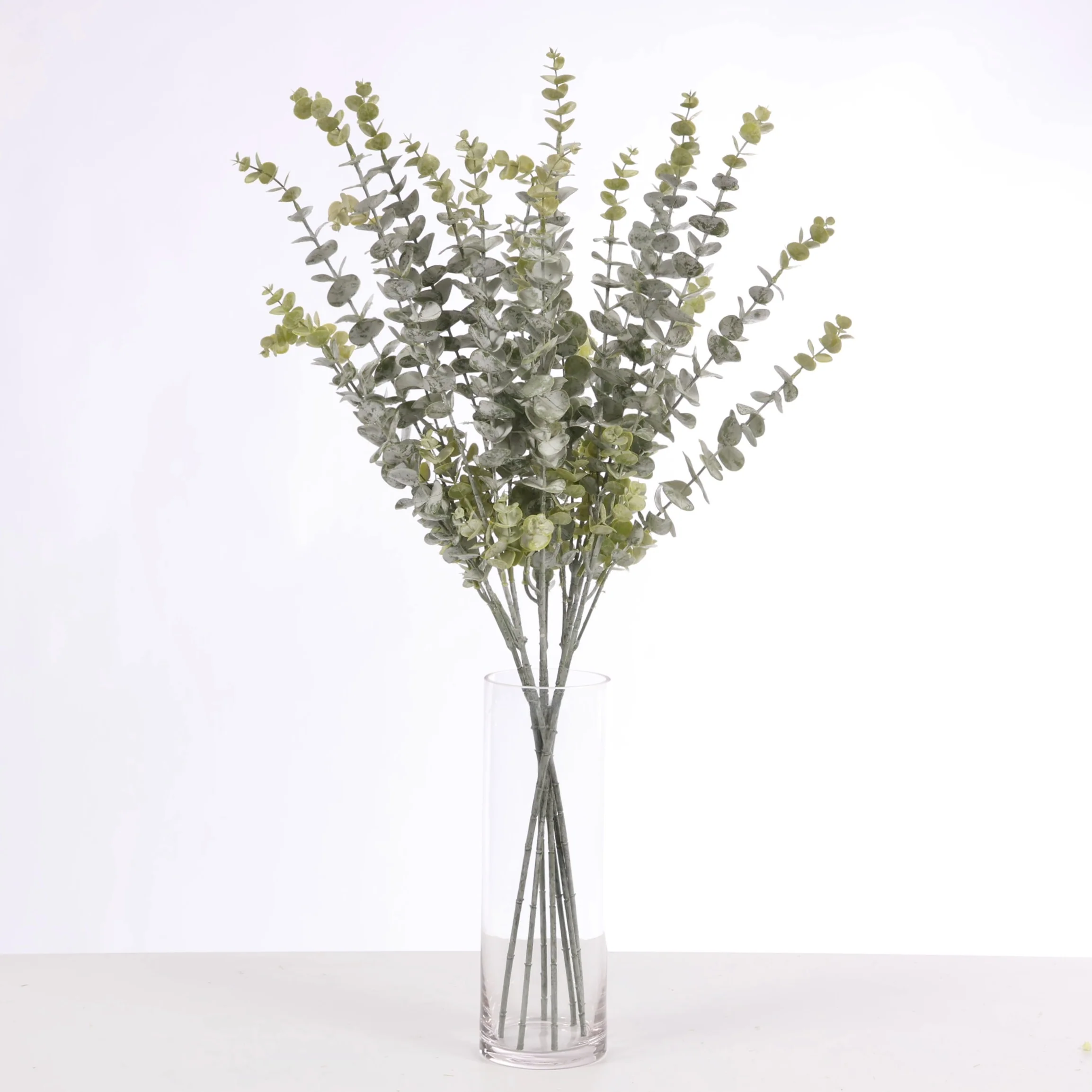 CLEARANCE Frosted Silver Dollar Eucalyptus Stem - Image 2
