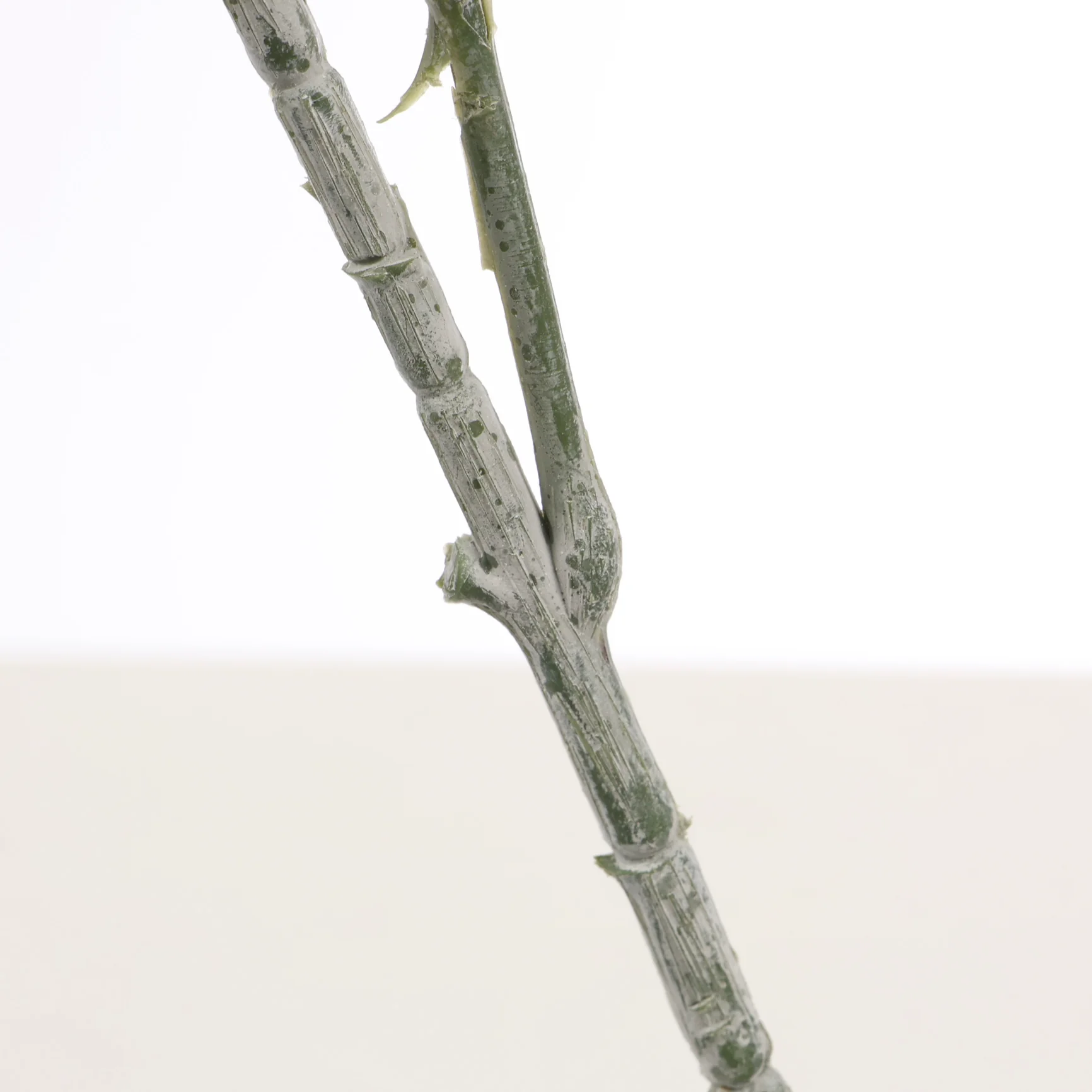 CLEARANCE Frosted Silver Dollar Eucalyptus Stem - Image 6